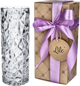 5904530303073-AG-allegro1